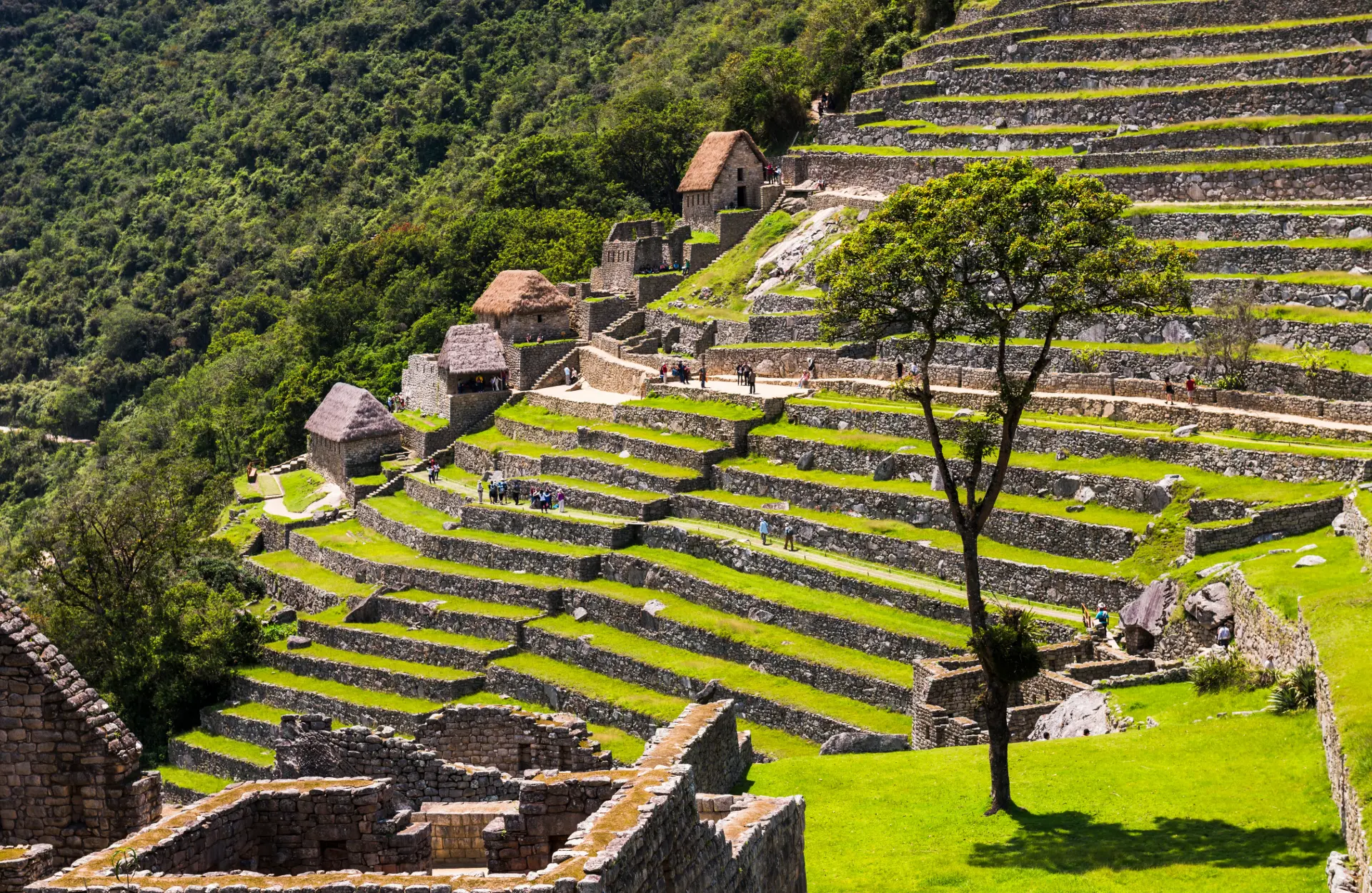 Camino Inca: Trekking a Través de la Historia Incaica Camino Inca - Ruinas de Runkurakay en el Camino Inca, una parada histórica en el trekking hacia Machu Picchu.