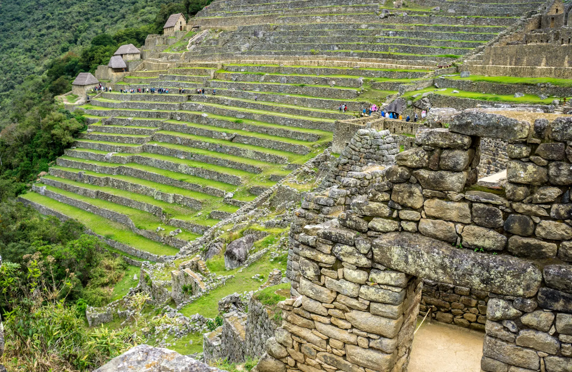 Explora el Camino Inca: El Sendero Sagrado de los Incas Camino Inca - Trekkers caminando por el Camino Inca, con las montañas andinas de fondo