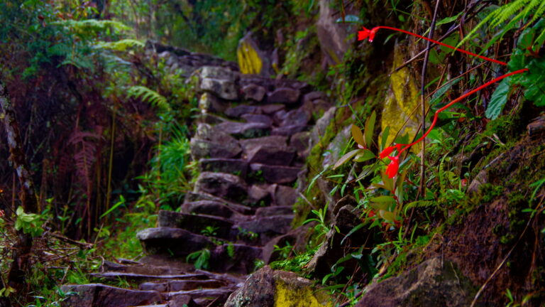 Camino Inca Sagrado: Descubre rutas espirituales hacia Machu Picchu