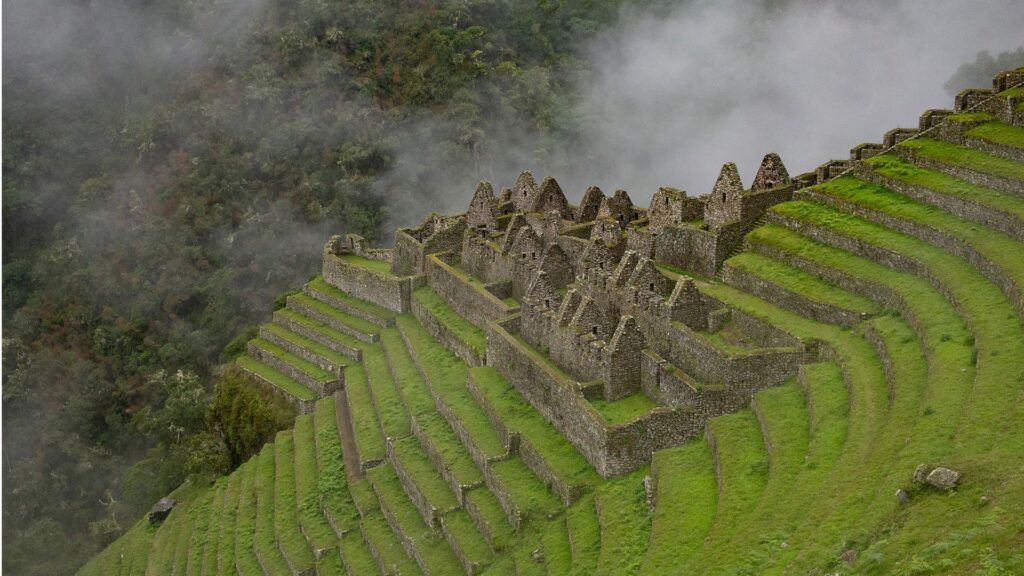 Terrazas agrícolas en una ladera rodeada de densa vegetación. km 104.